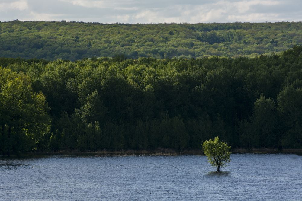 Photograph by Рыжков Роман