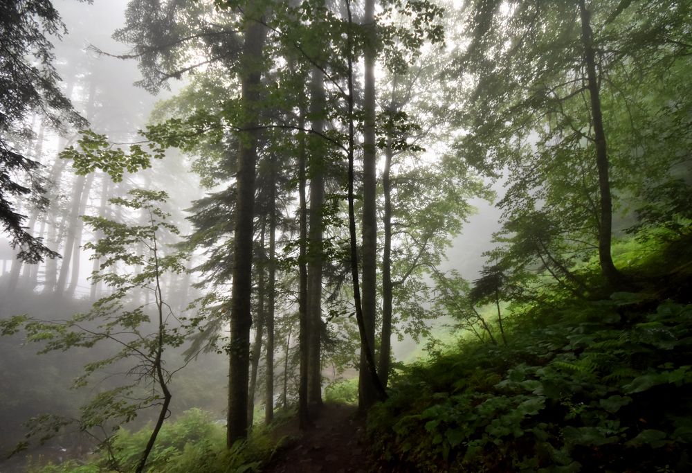 Photograph by Владислав Кравцов