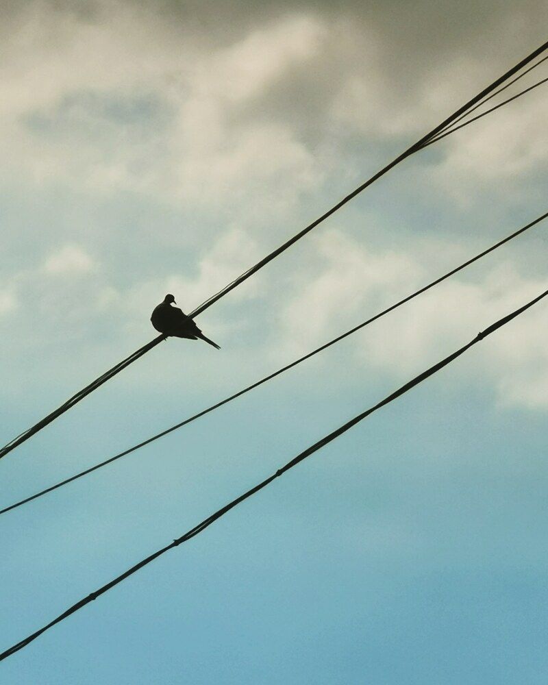 Photograph by alain el feghaly