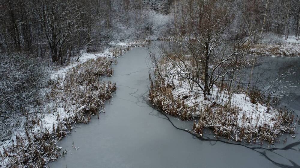Photograph by Владислав Кравцов