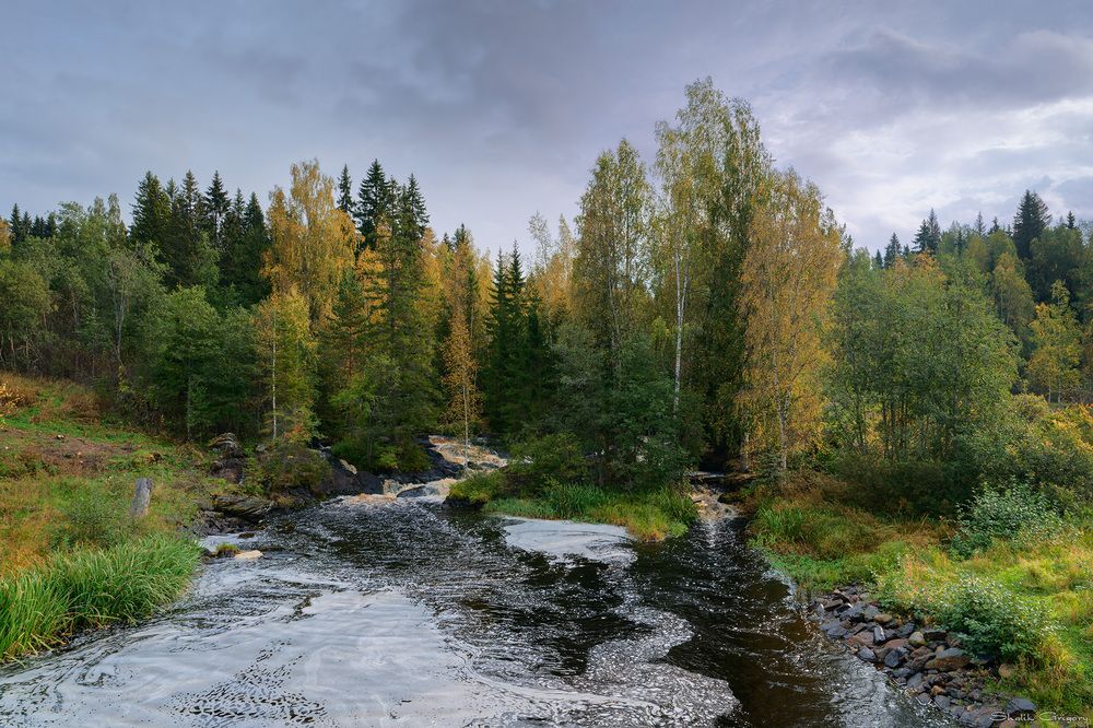 Photograph by Григорий Шалик