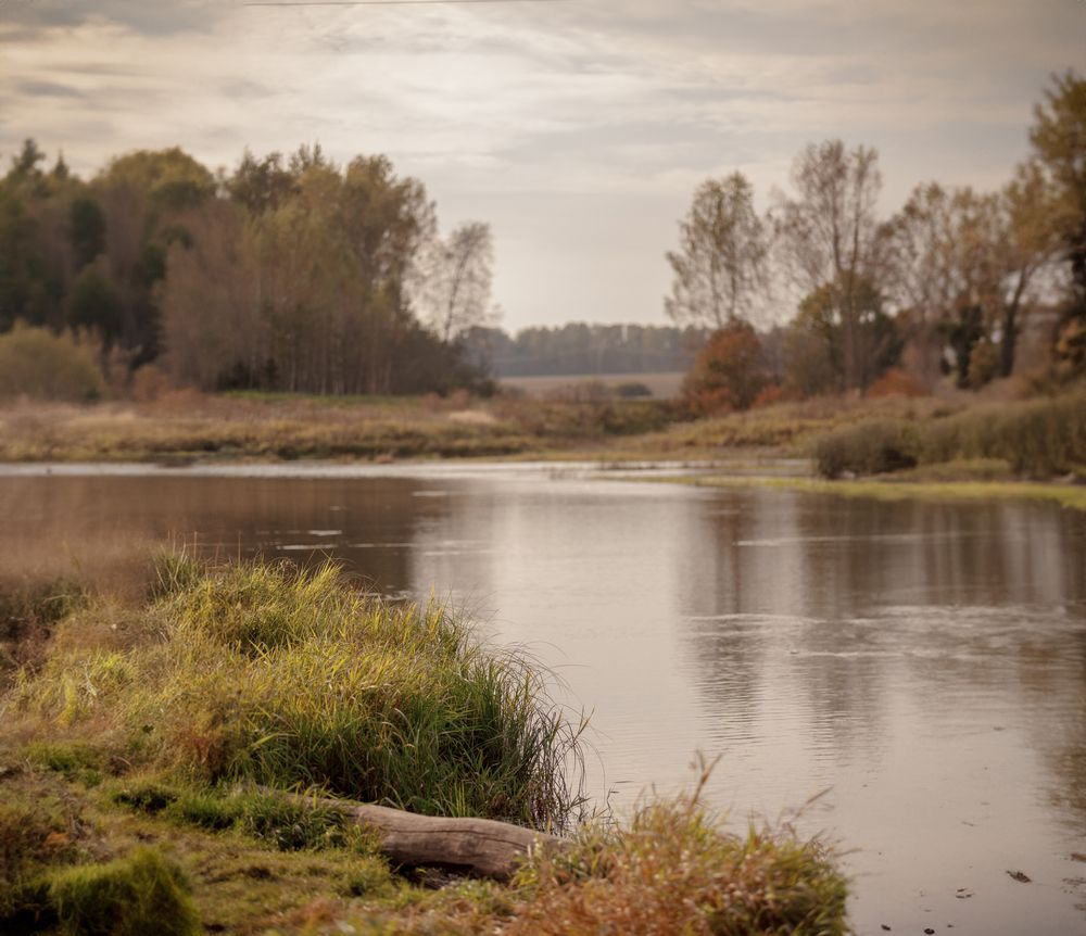 Photograph by Мария Саврасова