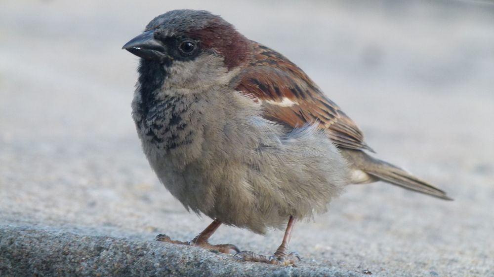 Photograph by Егор Чинарев