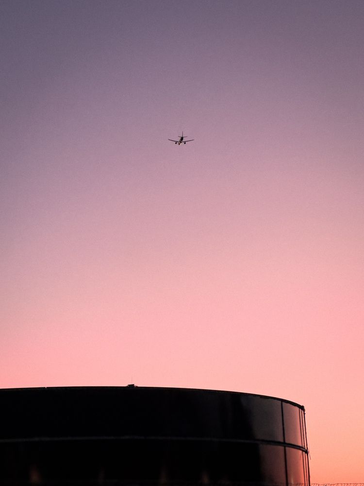 Фотография автора Светлана Соловьева