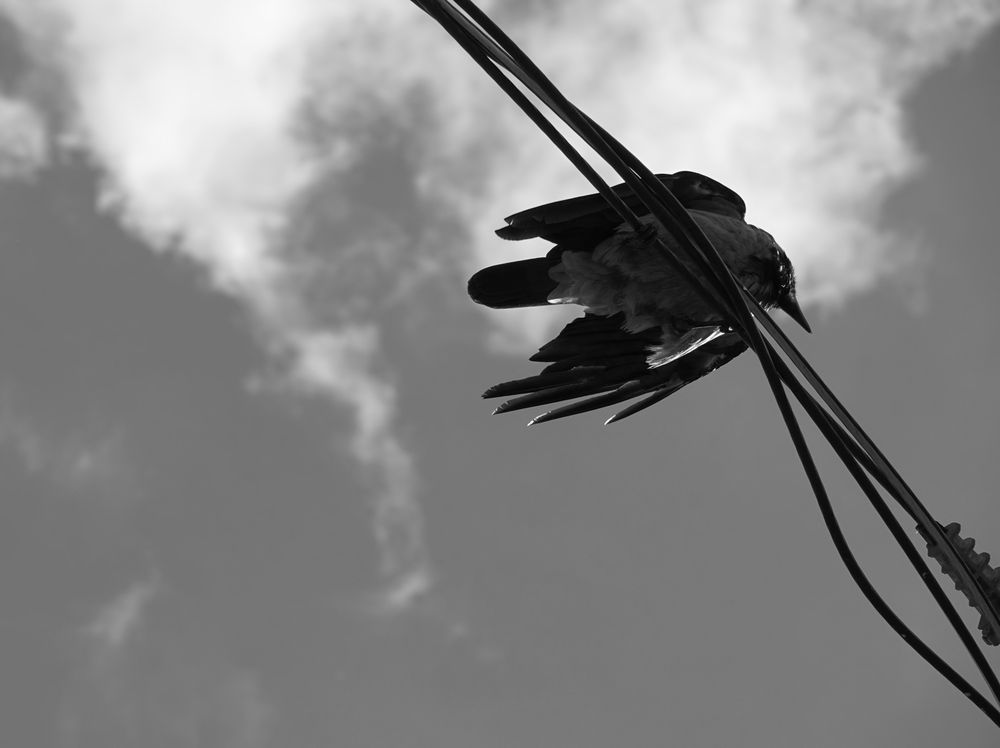 Photograph by Владислав Кравцов