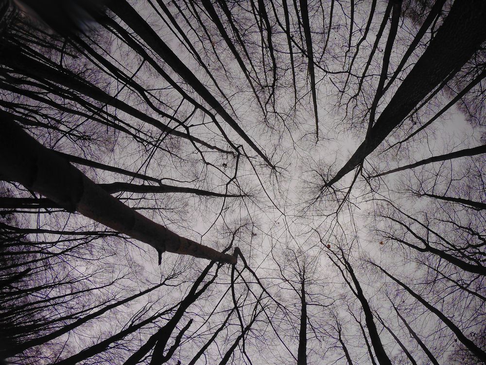 Photograph by Владислав Кравцов