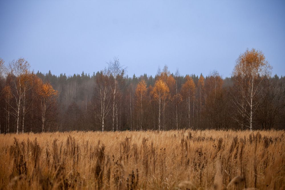 Photograph by Мария Саврасова