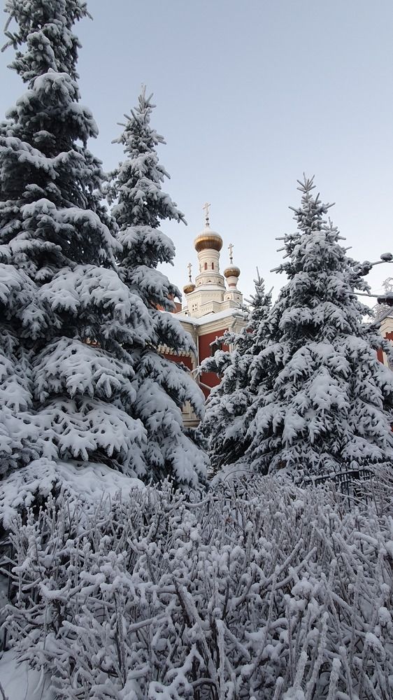 Photograph by Анастасия