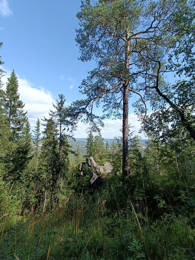 Фотография автора Кристина Киселёва