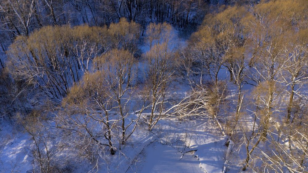 Photograph by Владислав Кравцов
