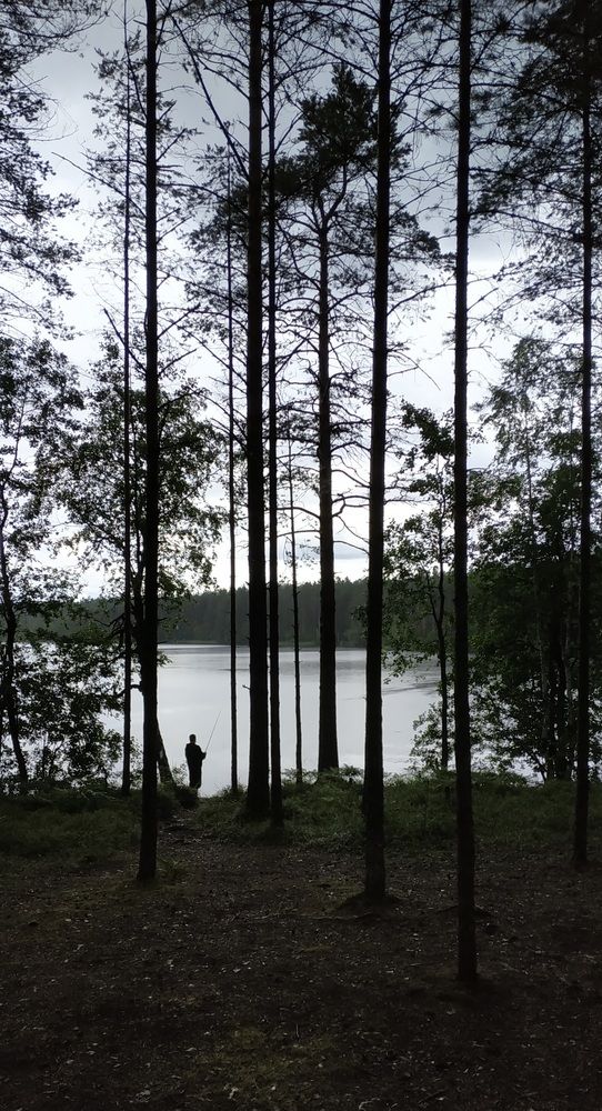 Photograph by Ольга Мольдон