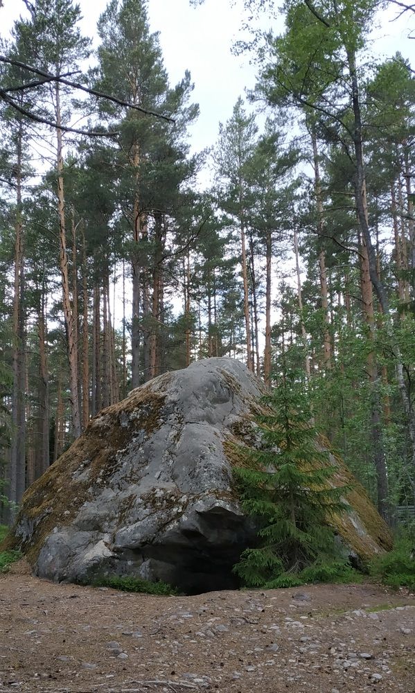 Photograph by Ольга Мольдон