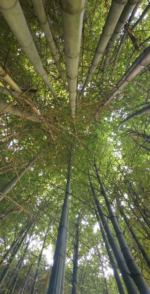 Photograph by Ольга Мольдон