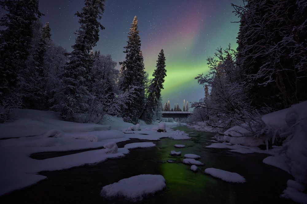 Фотография автора Boris Konovalov