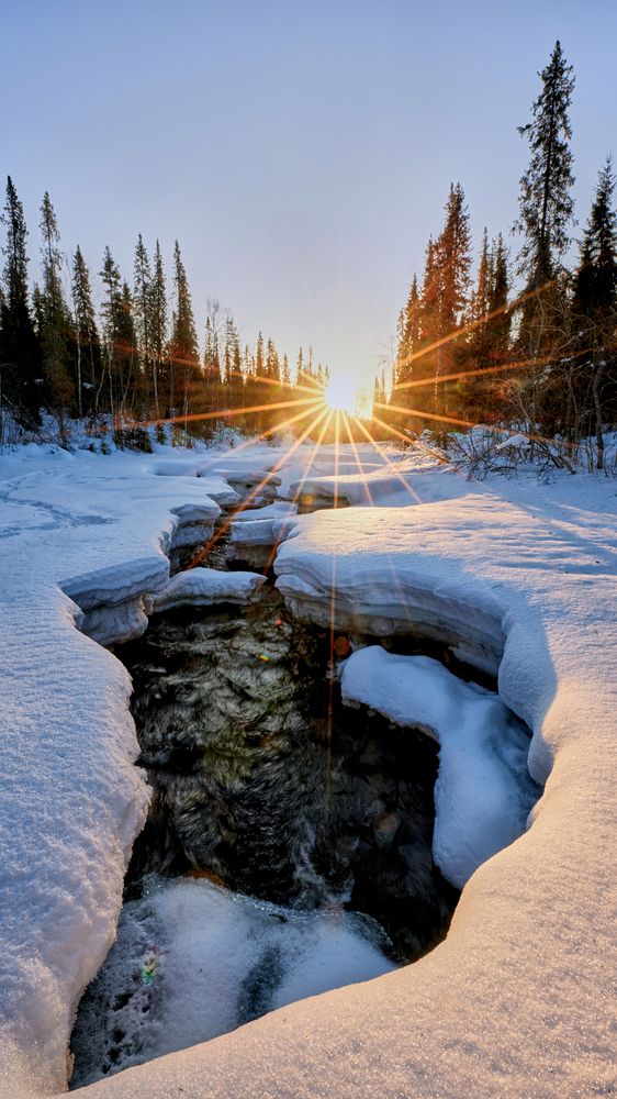 Фотография автора Boris Konovalov