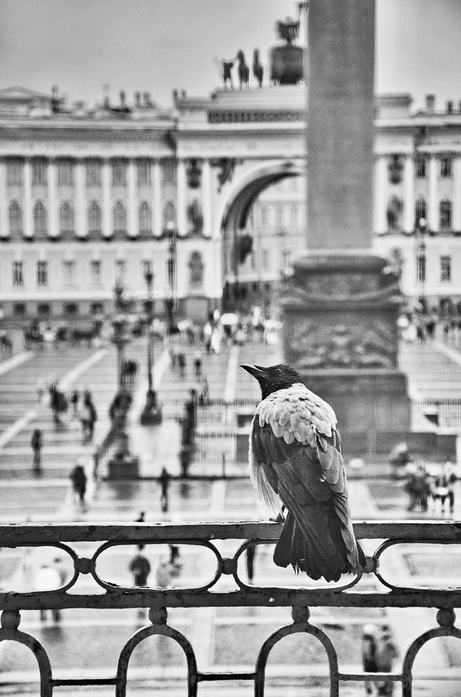 Фотография автора Константин Мишнаевский