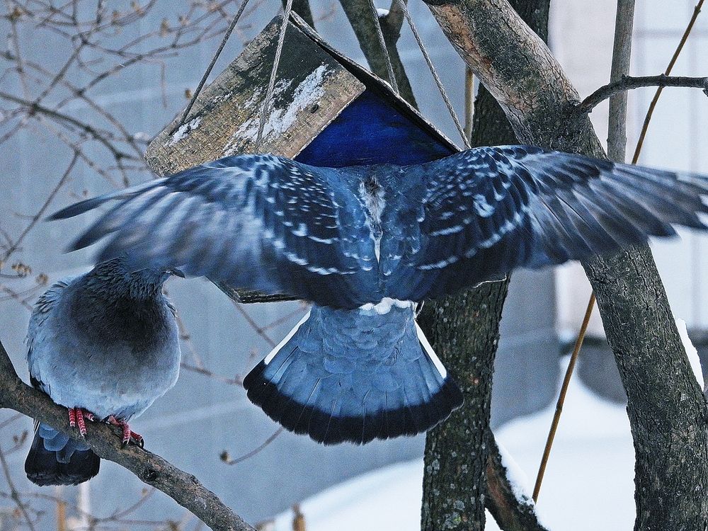 Photograph by Леонид Шнейдерман