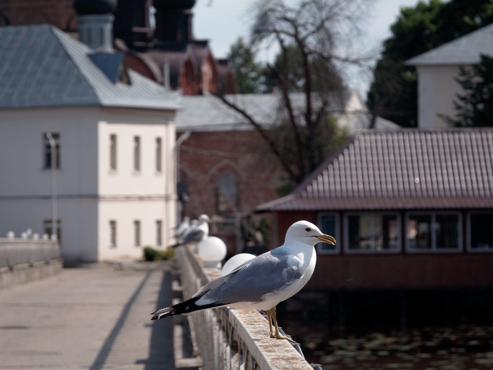 Photograph by Наталья Колеватова