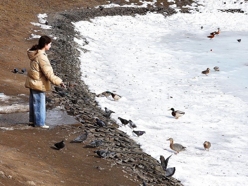 Photograph by Леонид Шнейдерман