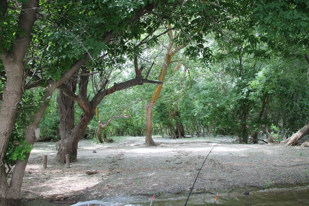 Photograph by Олег Филиппов