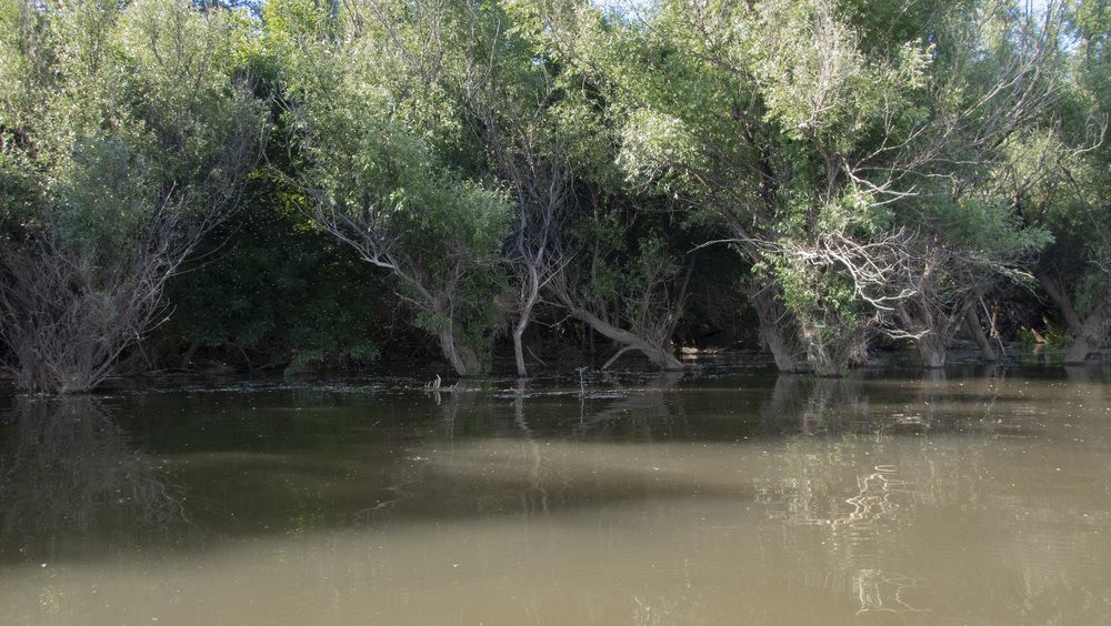 Photograph by Олег Филиппов