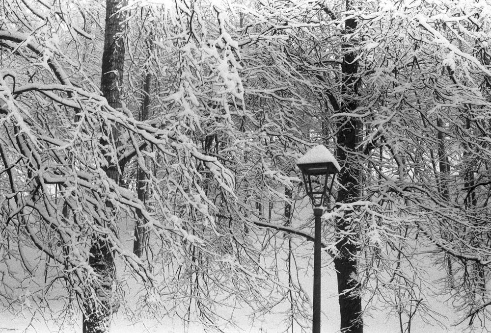 Photograph by Родион Романович Р