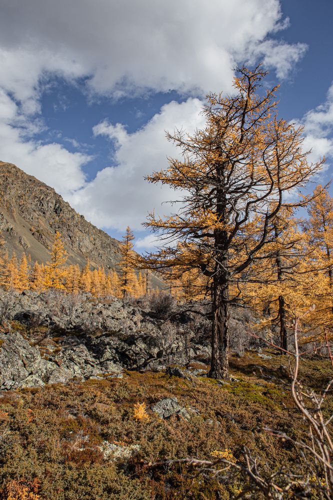 Photograph by Елена Павлова