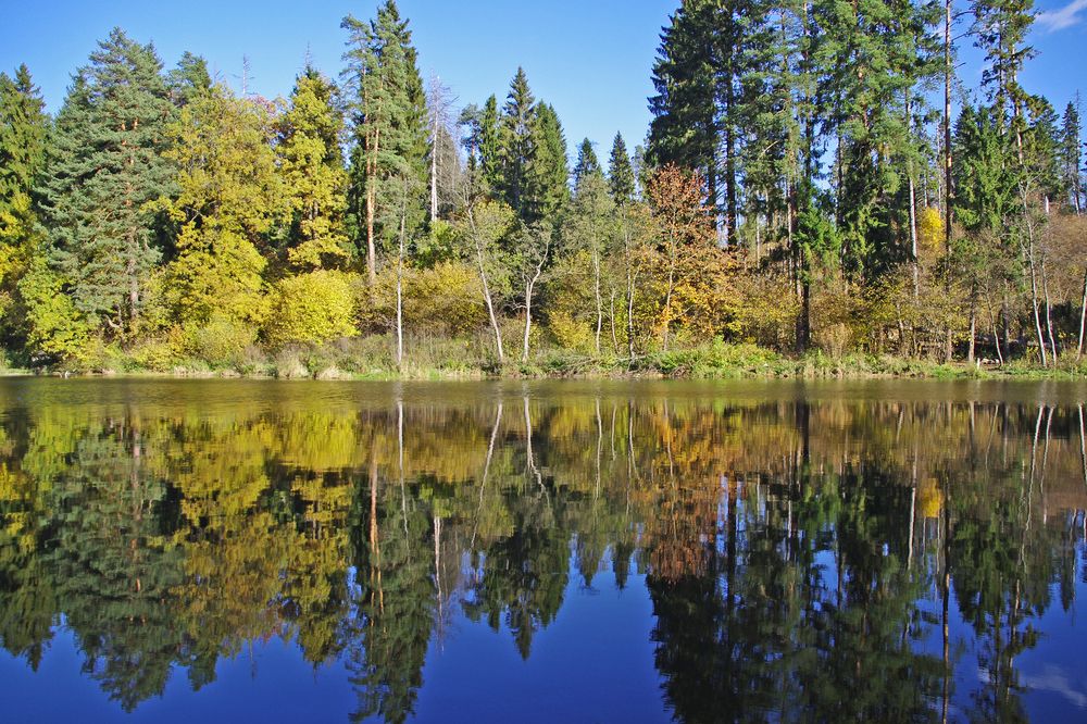 Photograph by Елена Щитова