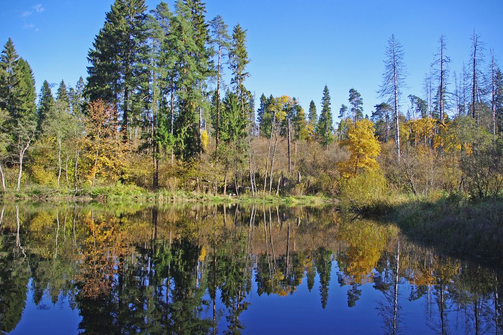 Photograph by Елена Щитова