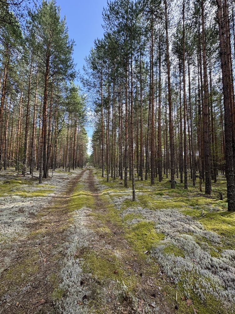 Photograph by Оксана Малышева