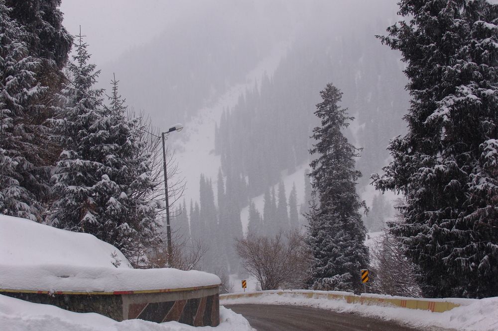 Photograph by Михаил Максимов