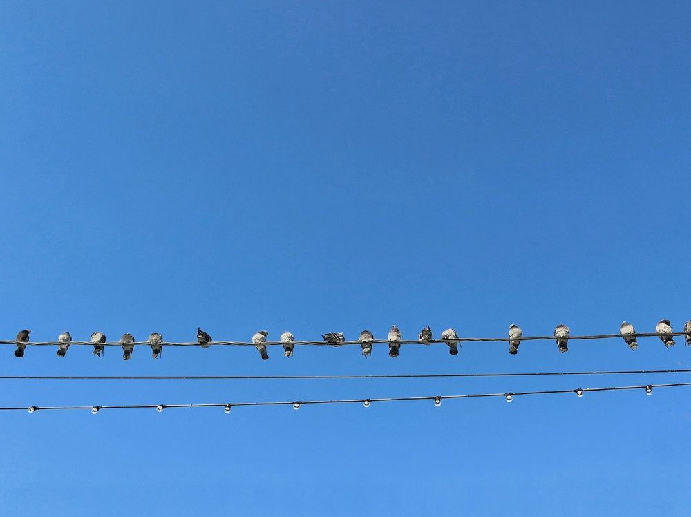 Photograph by Ирина Корабельникова