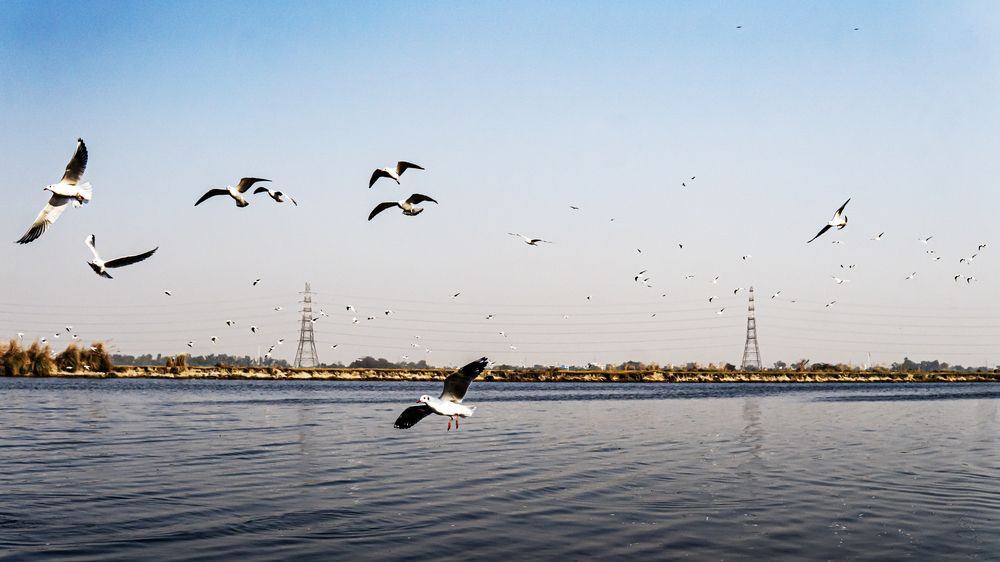 Фотография автора savitri Rawat