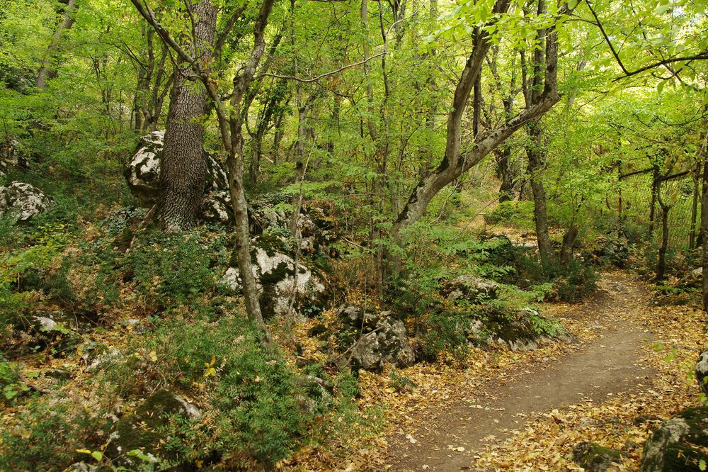 Photograph by Елена Щитова