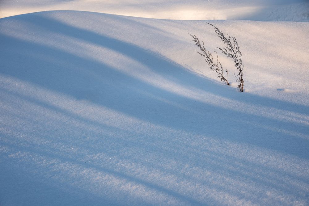 Photograph by Ирина Яук