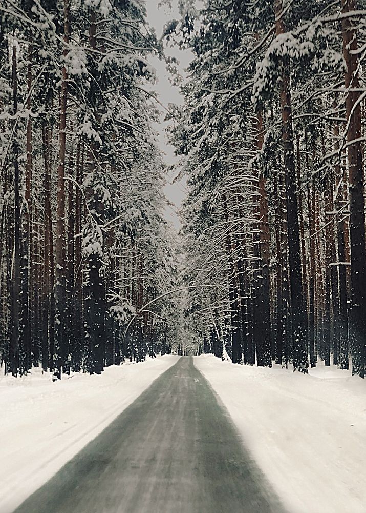 Photograph by Екатерина Слесарева