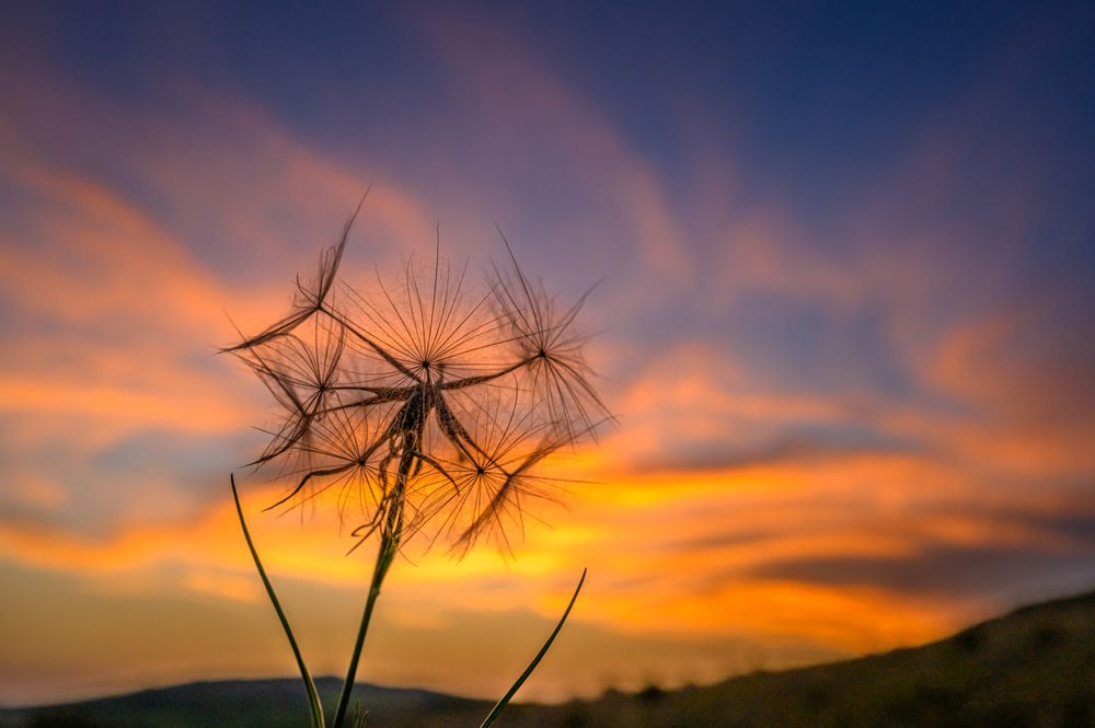 Photograph by levi bagy