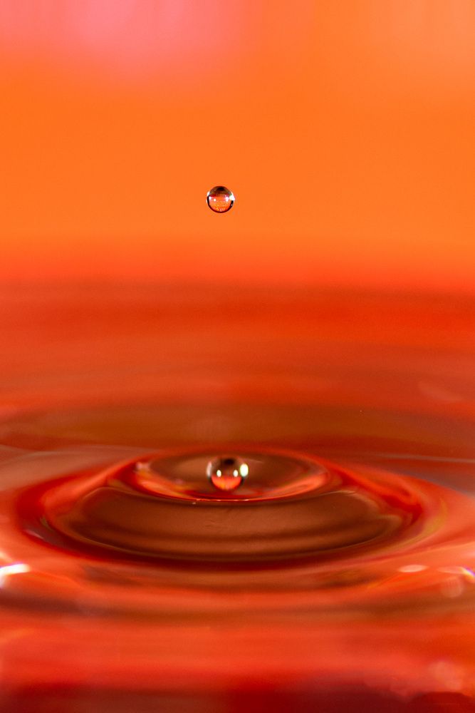 Photograph by levi bagy