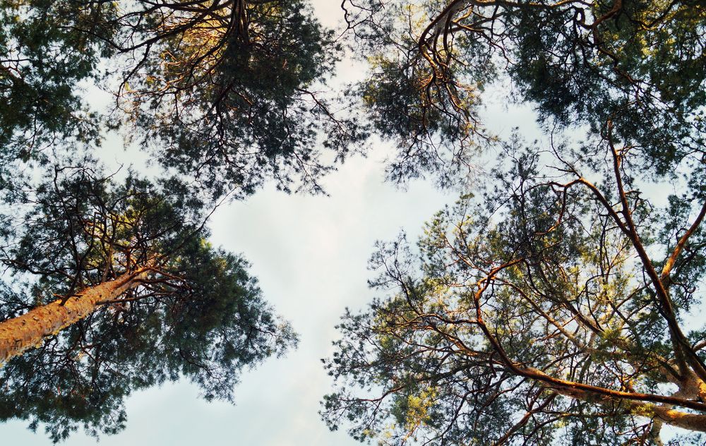 Photograph by Екатерина Слесарева