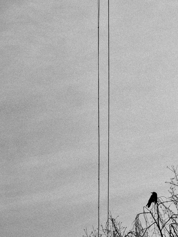 Photograph by Елена Семкина