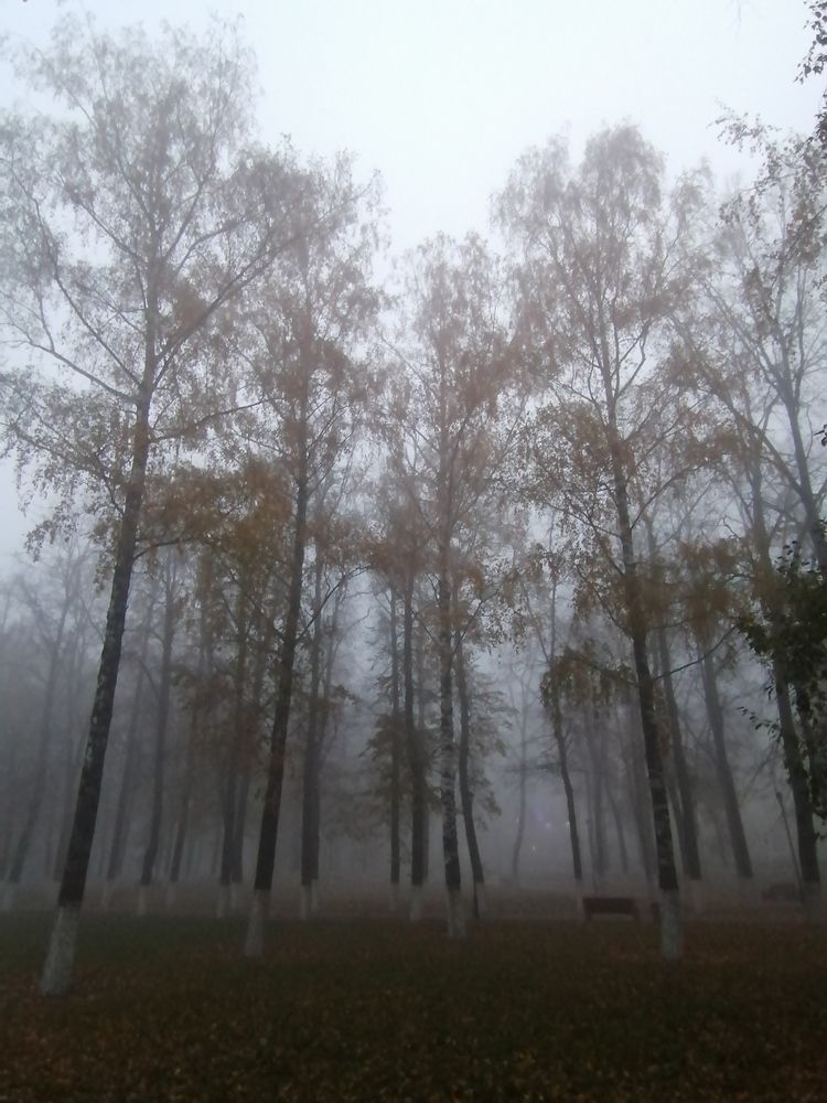 Photograph by Татьяна