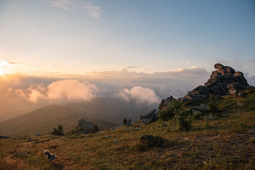 Photograph by Ирина Яук