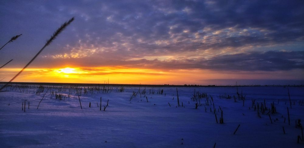 Photograph by Сергей Зайцев