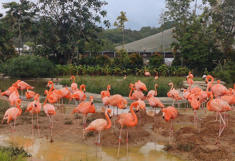 Photograph by Natalya Vasilenko