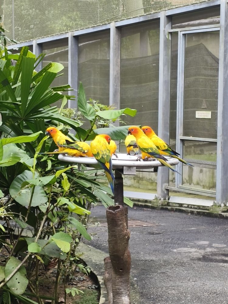 Photograph by Natalya Vasilenko