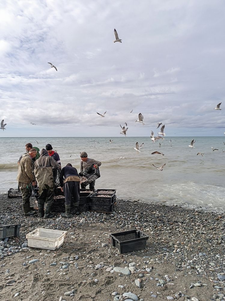 Photograph by Елена Юркова