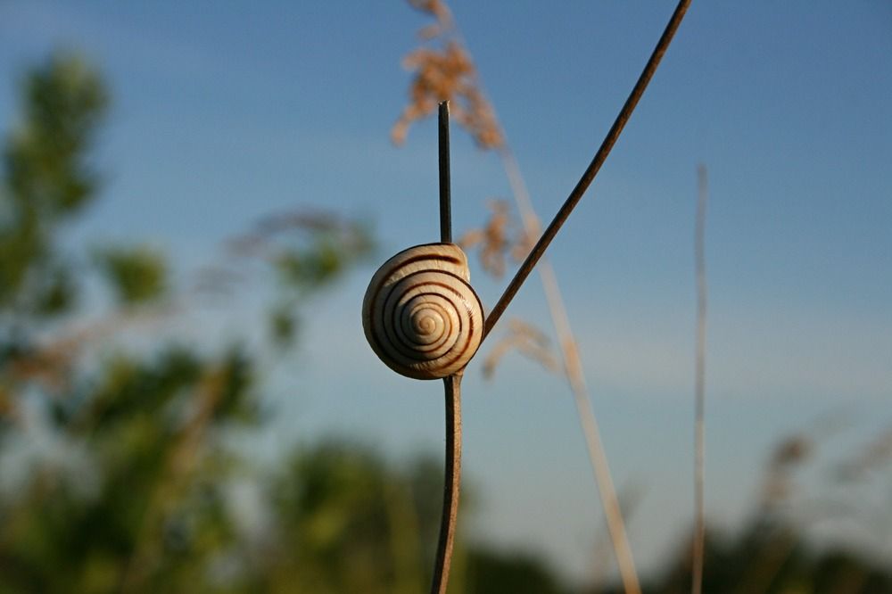 Photograph by Виктория