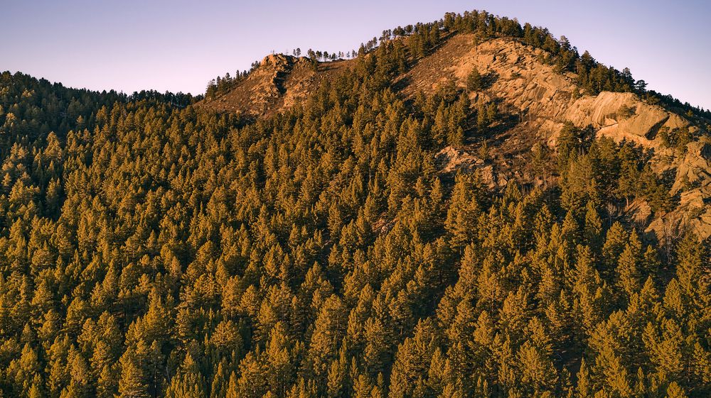 Photograph by Aleksey Maevskiy