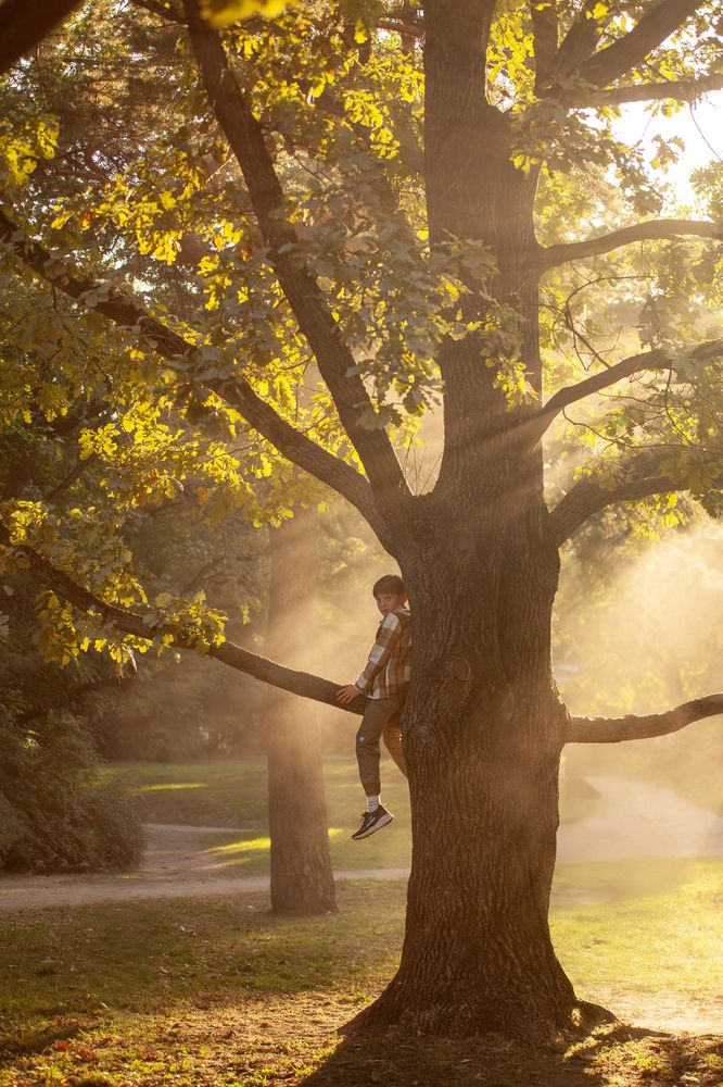 Photograph by Мария Саврасова