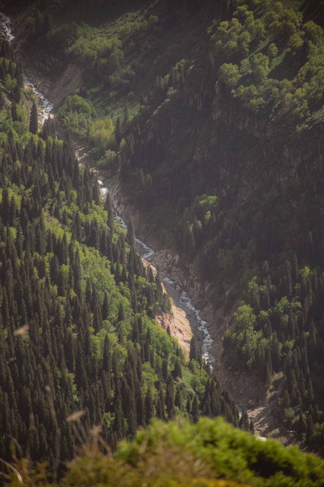 Фотография автора Данил Дорошенко